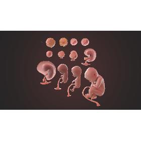 Anchor Handling Tug Supply Vessel AHTS